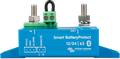 Smart BatteryProtect 12 24V 100A